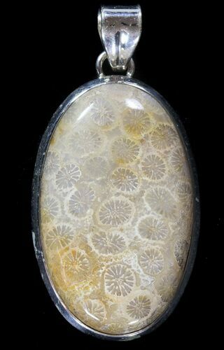 Million Year Old Fossil Coral Pendant - Sterling Silver #49568